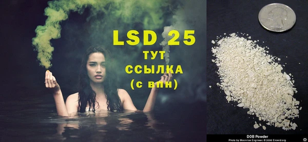 твердый Ельня