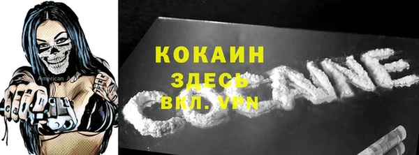 твердый Ельня