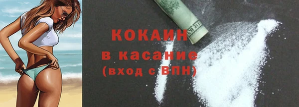 твердый Ельня