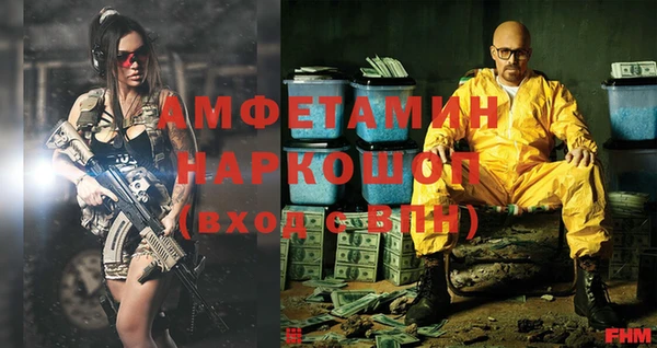 твердый Ельня