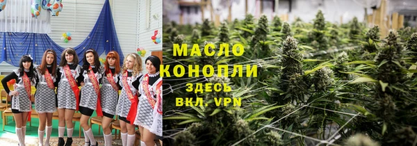 твердый Ельня
