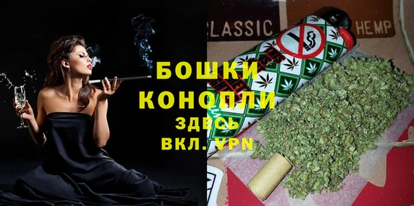 твердый Ельня