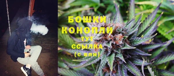 эйфоретик Елизово