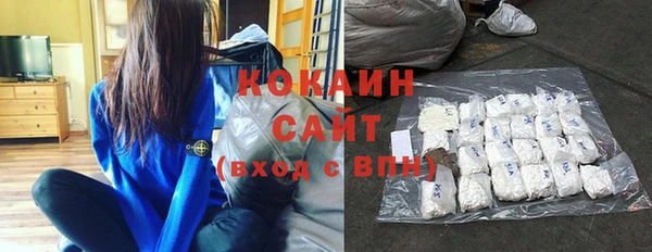 твердый Ельня