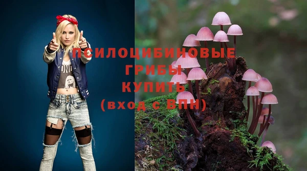 таблы Елабуга