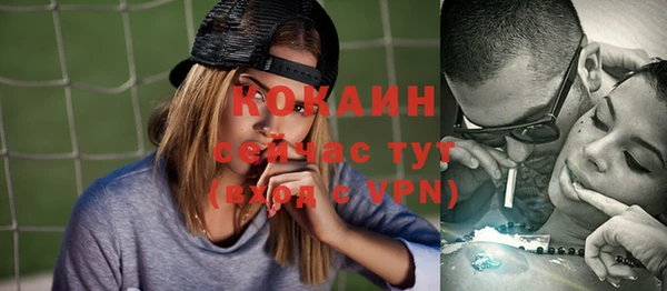 твердый Ельня
