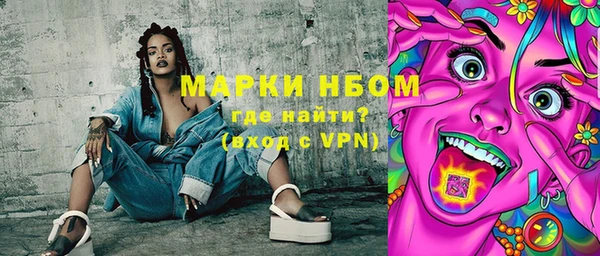 твердый Ельня