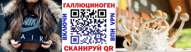 Купить где  Оса  Галлюциногенные грибы Magic Shrooms 